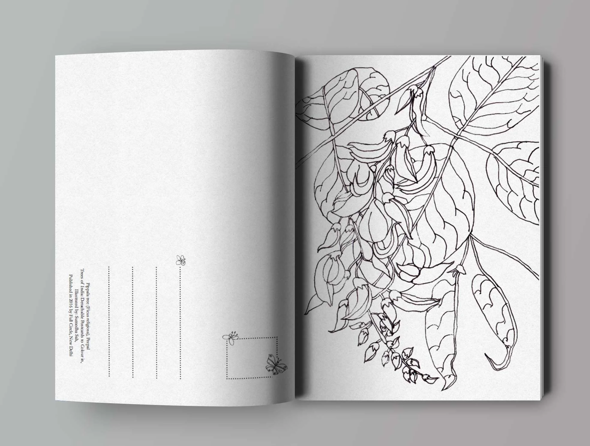open-book-mockup2.jpg