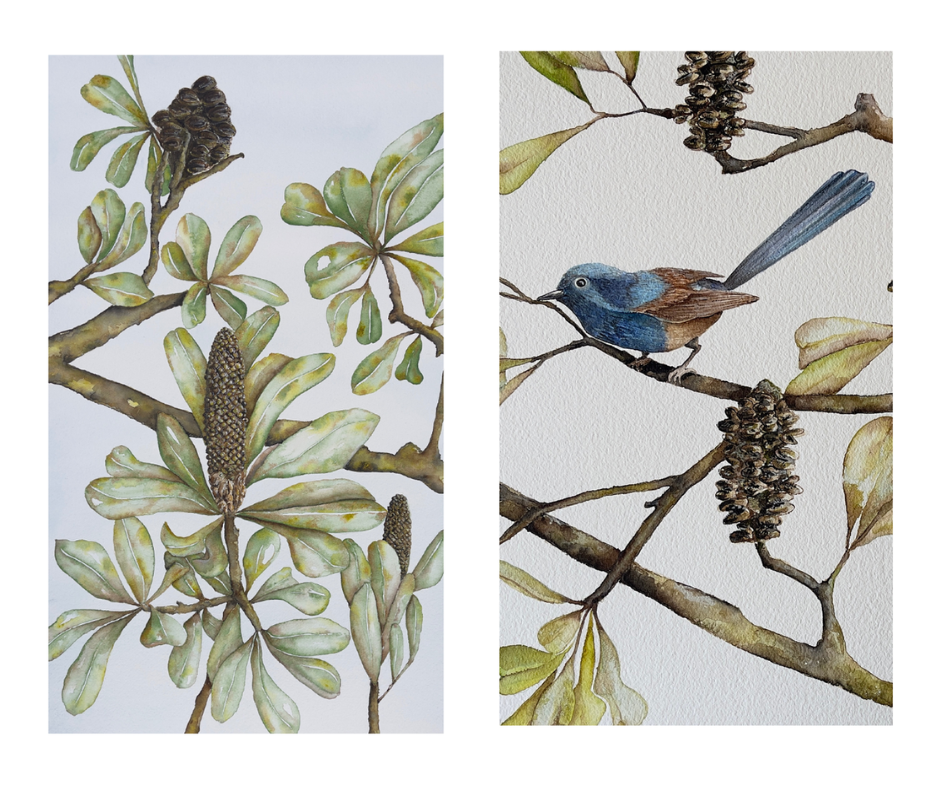 Watercolour Workshop- Intro to Watercolour