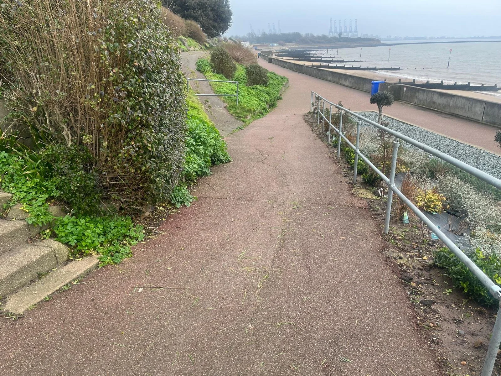 WhatsApp Image 2026-02-03 at 16.34.20 (4).jpeg