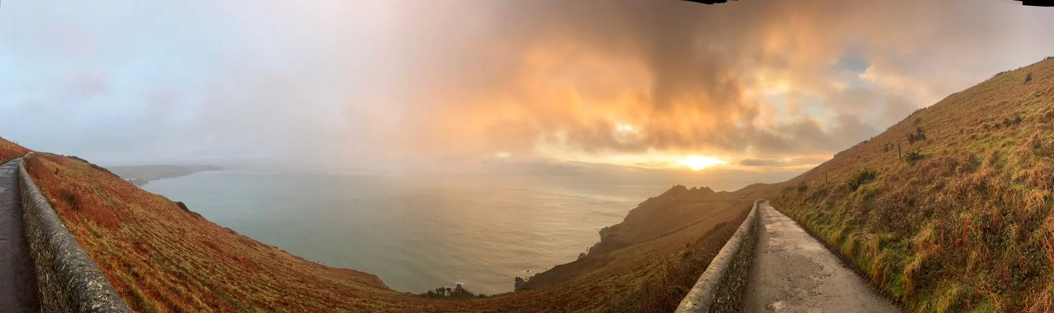 WhatsApp Image 2026-02-11 at 17.14.06.jpeg