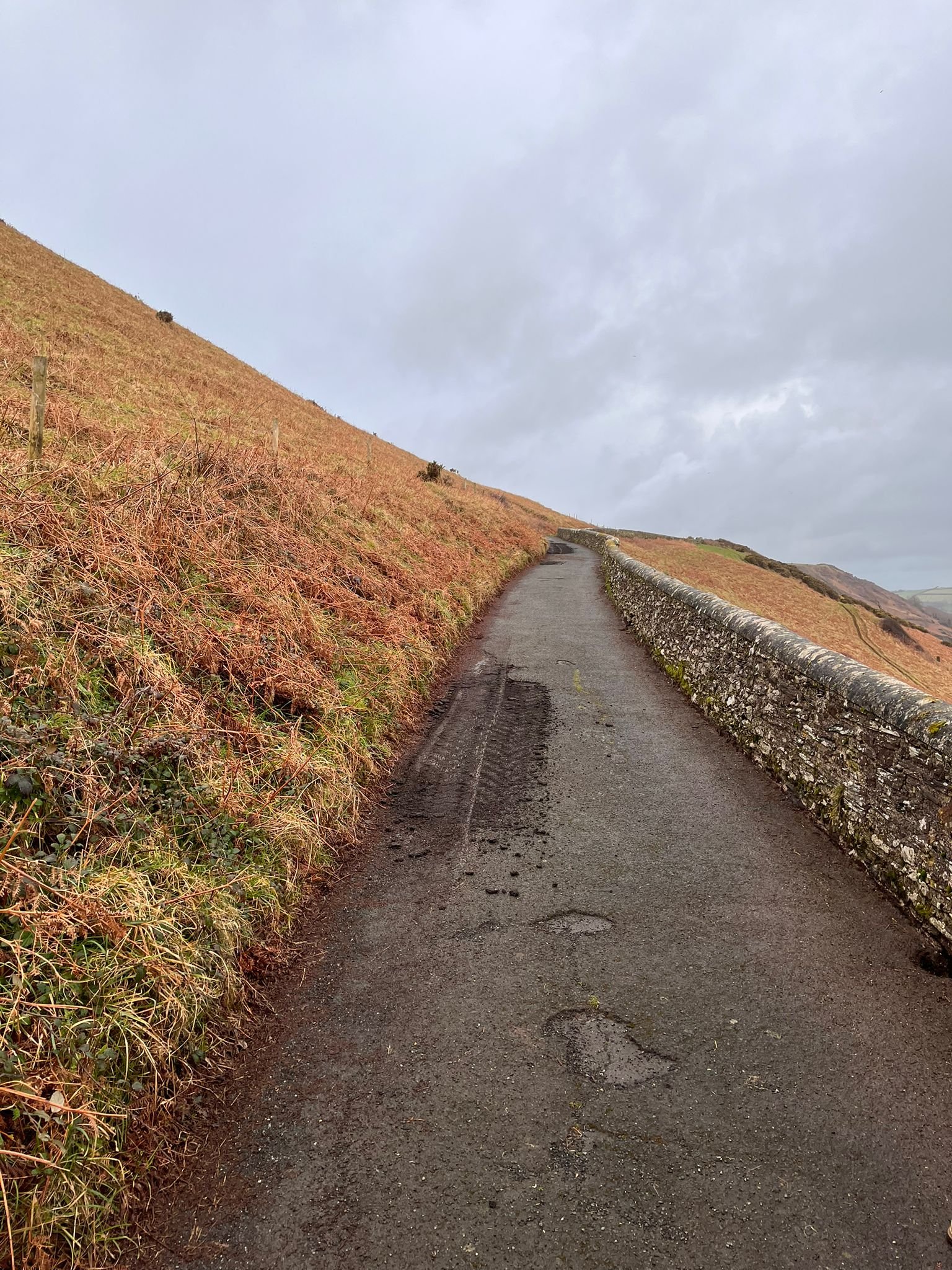 WhatsApp Image 2026-02-09 at 11.37.56 (1).jpeg