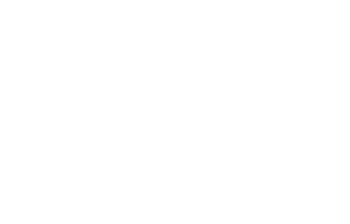 Ugly Duck