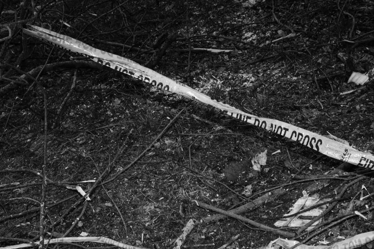 _flint_41_alinemauch.jpg