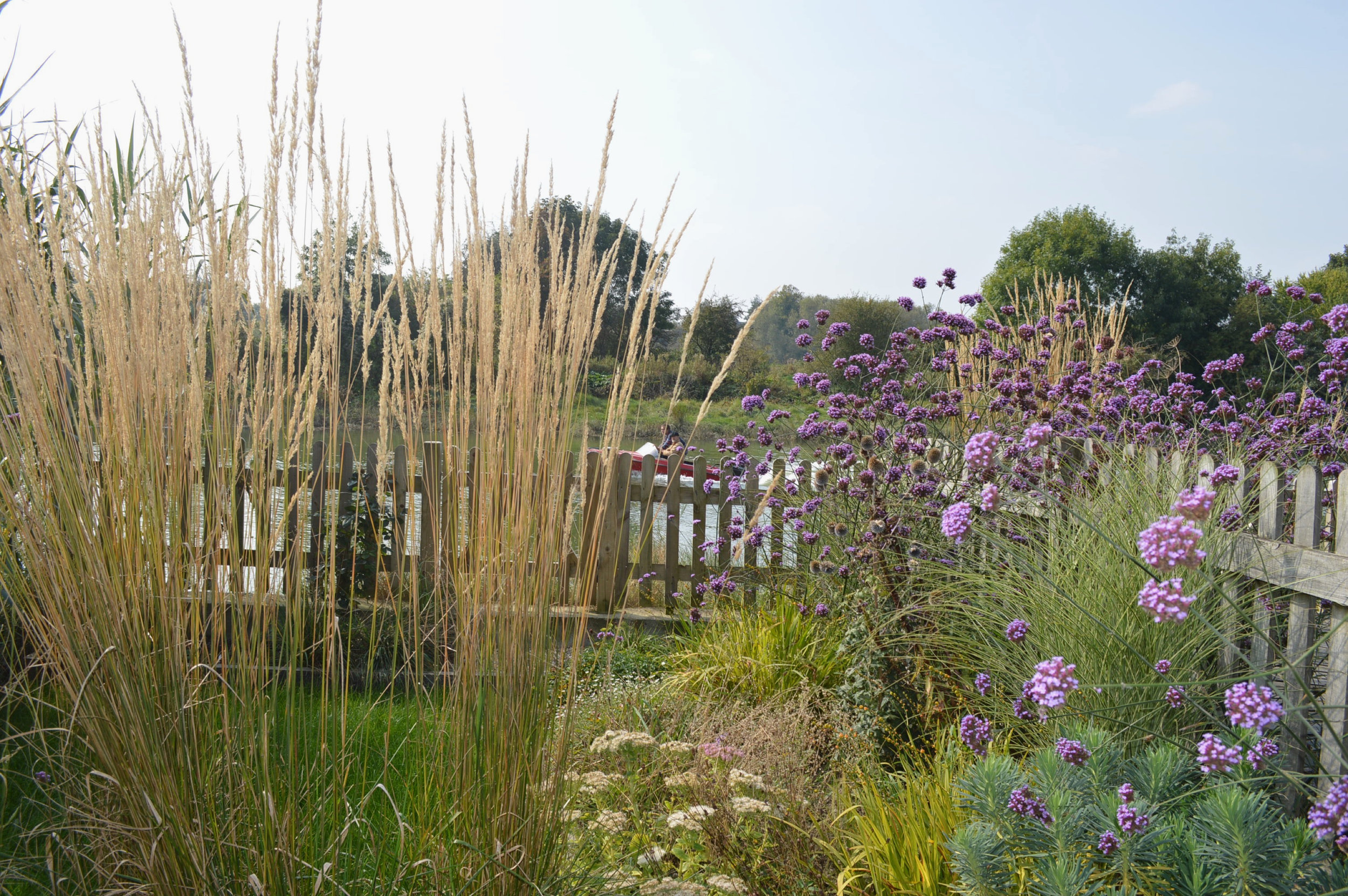 Riverside garden design Lewes.jpg