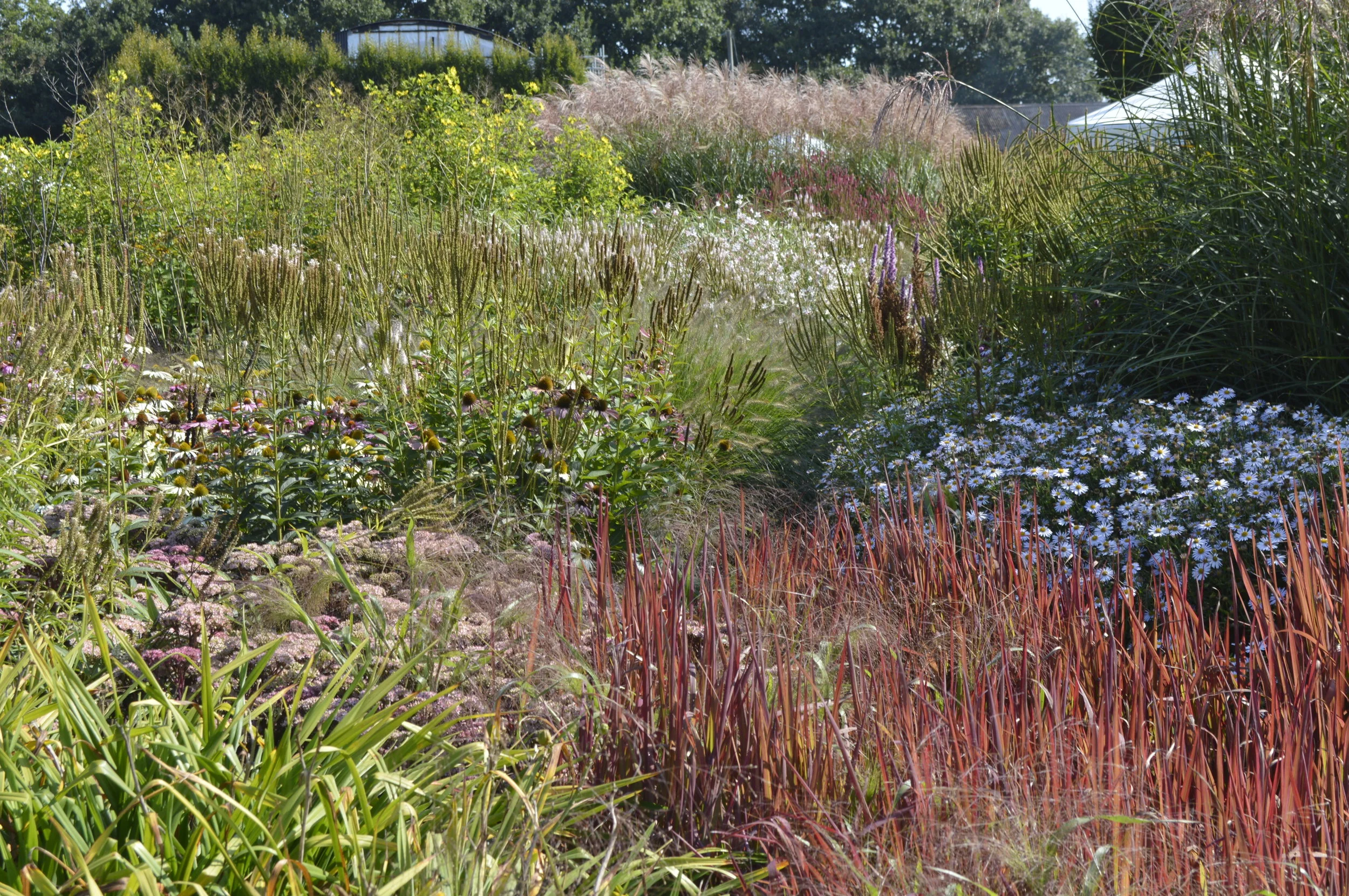 Plant Research for Planting Plans