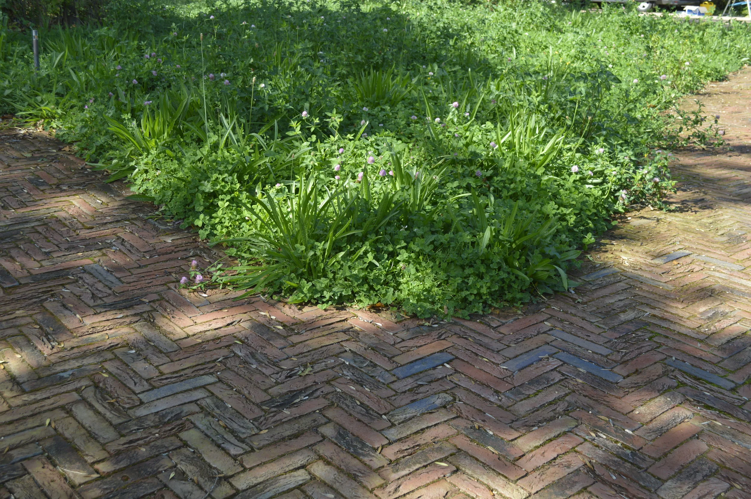 Garden Design Inspiration — Bo Cook Landscape & Garden Design