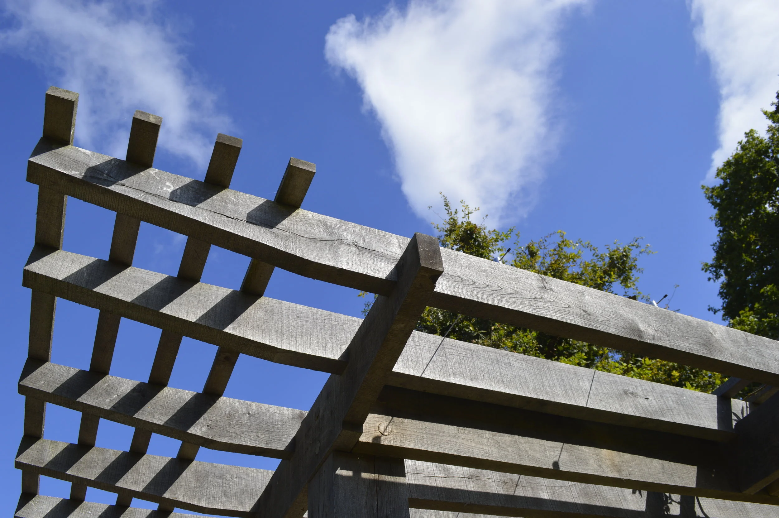 Garden Pergola_Marian Boswall