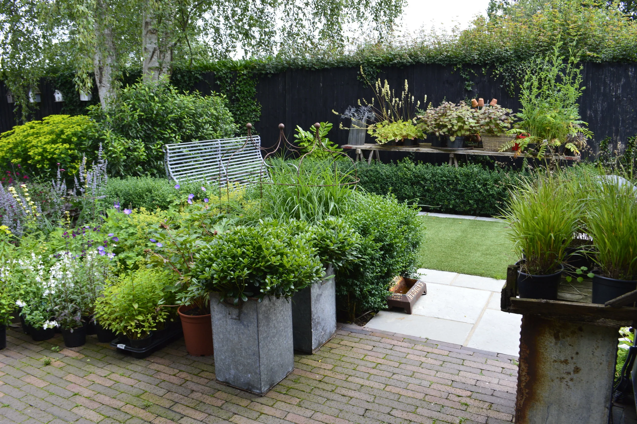 Stock Plants - blending in with the garden