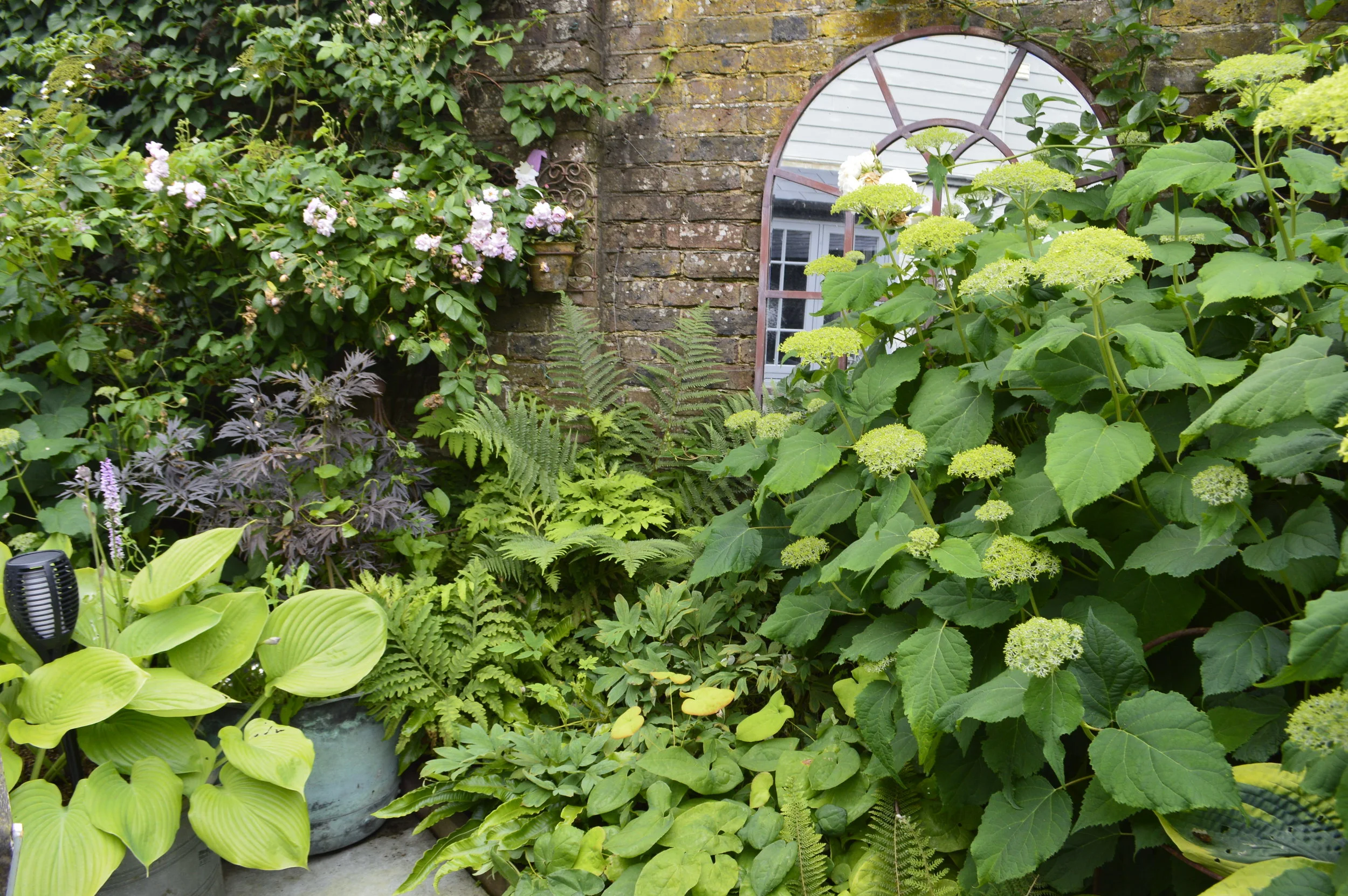 Mirrors and Foliage - lush greens and reflected light
