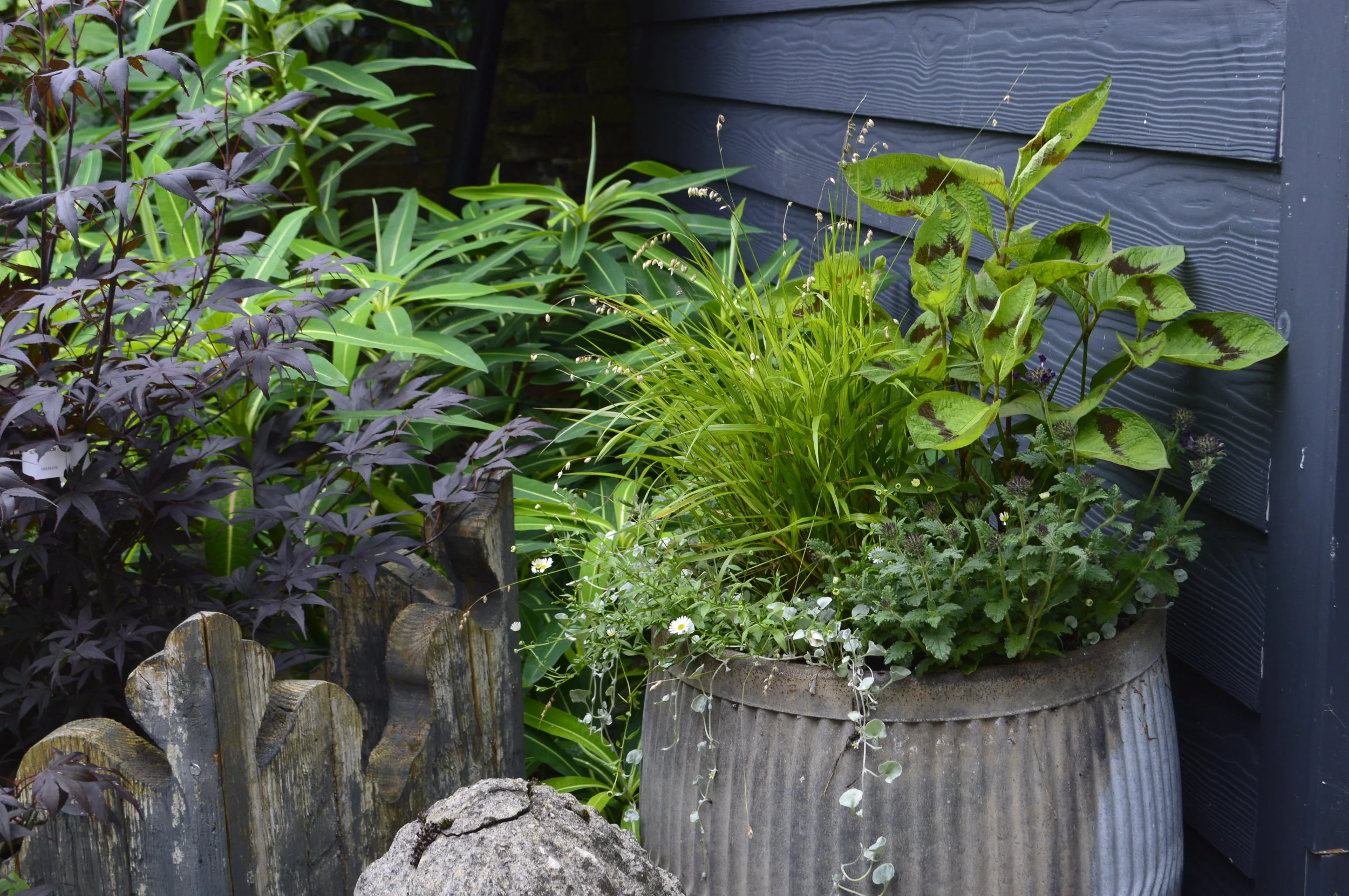Collection of Planters - making a scene