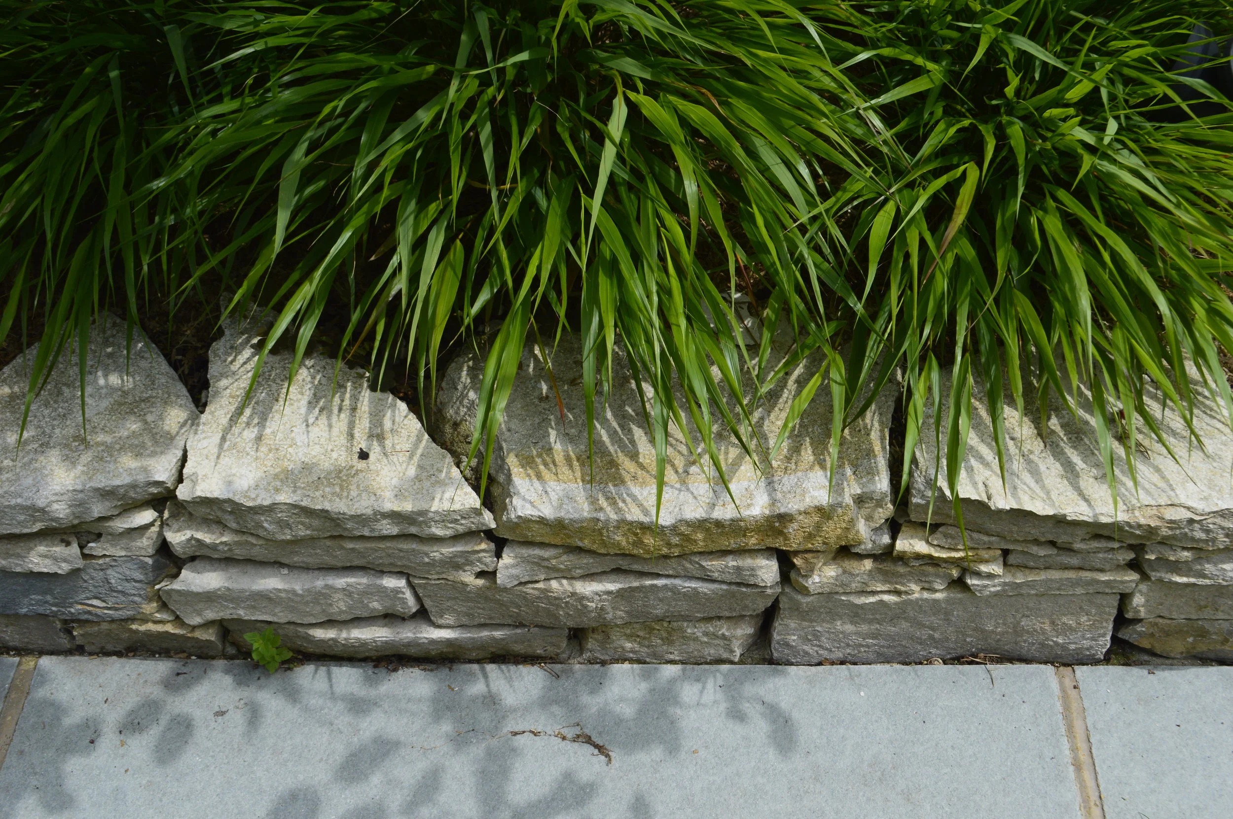 Focus -  texture, lines and shadows creating a nice detail