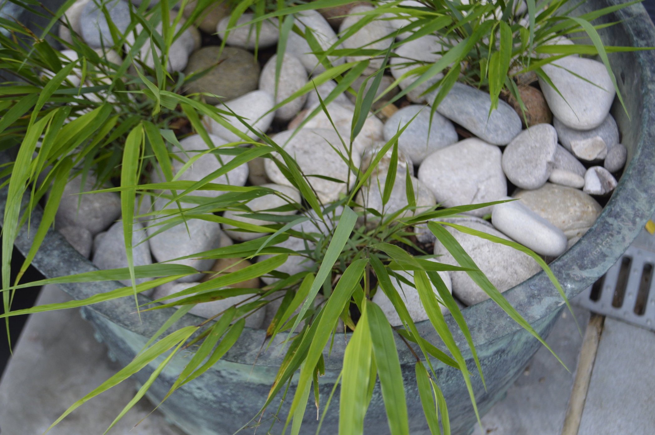 Pots - simple use of plant and material, keeping colours neutral