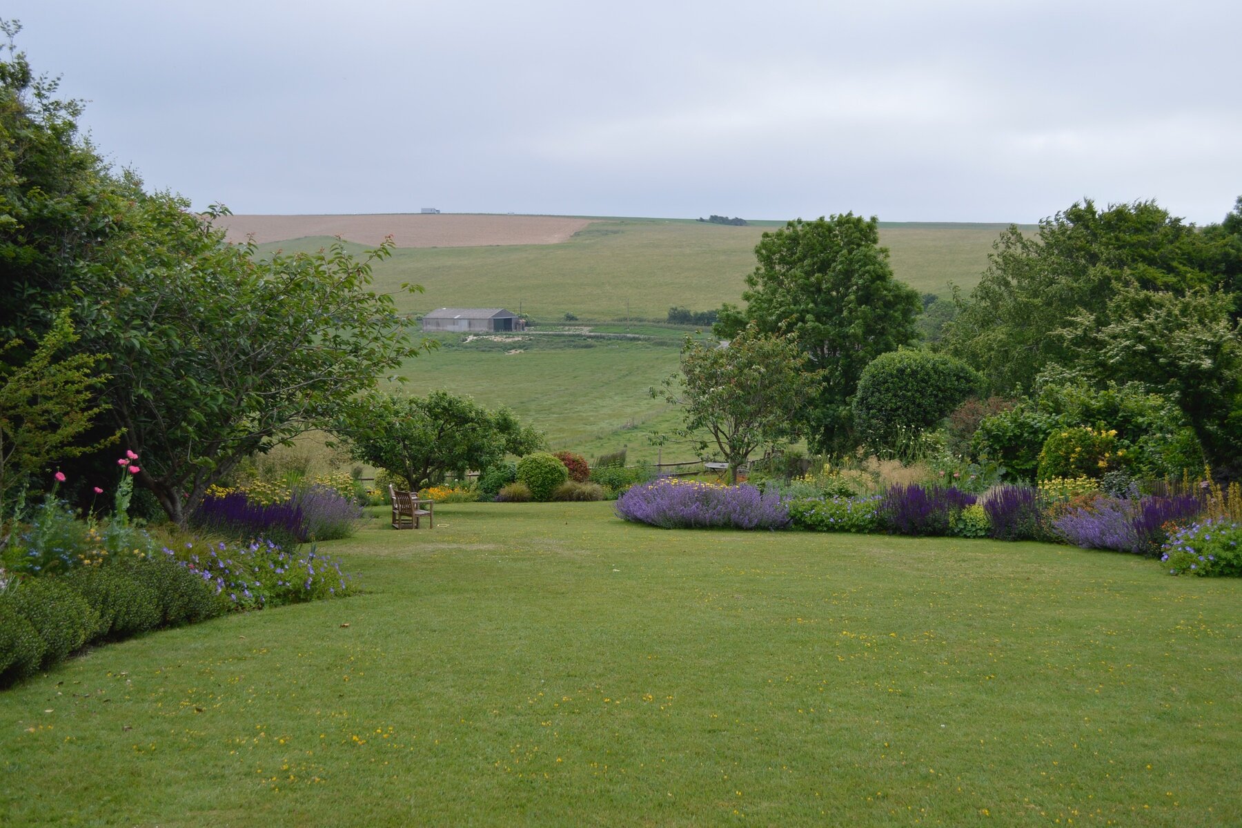 large garden naturalistic planting design east dean .jpg