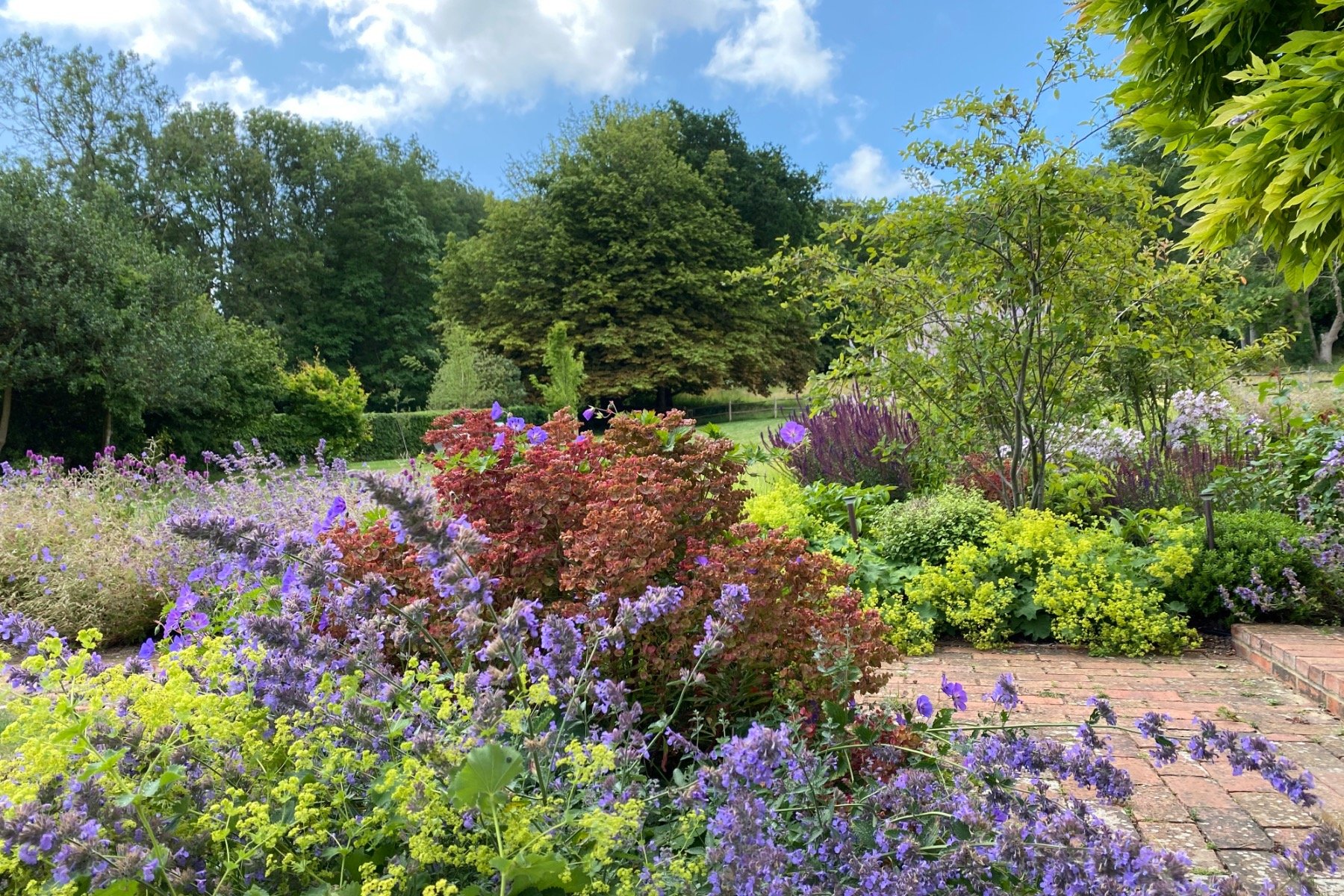 Textural planting.jpg