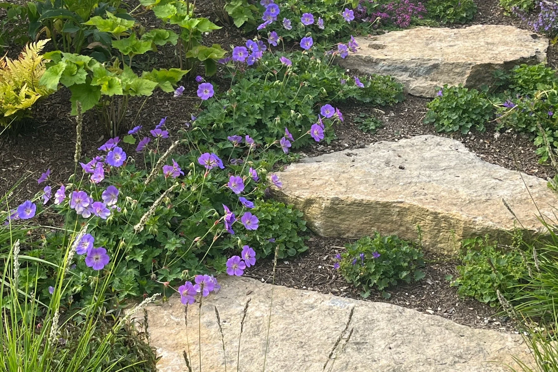 Do I need a Garden Designer or a Landscaper?