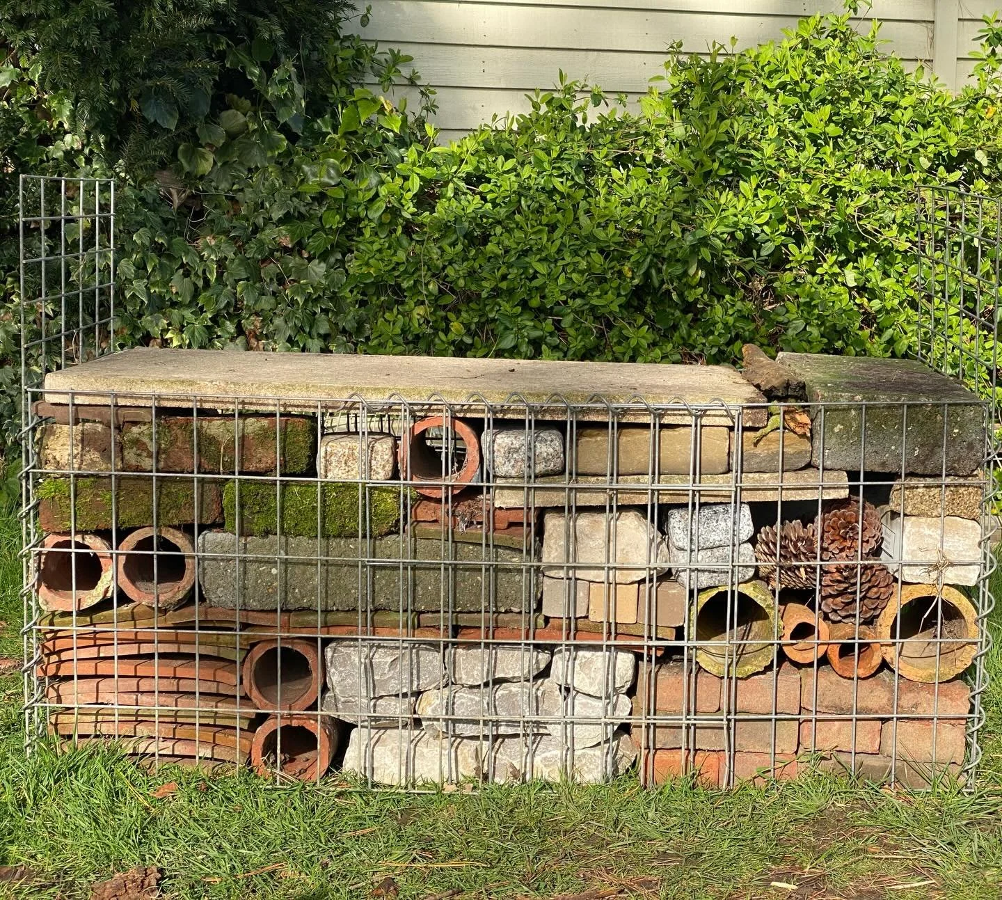 Apparently I had creative rage today 😂

(Half term mayhem and the need to escape to the garden to be creative)

#gardendesign #gabion #creativerage #rubble