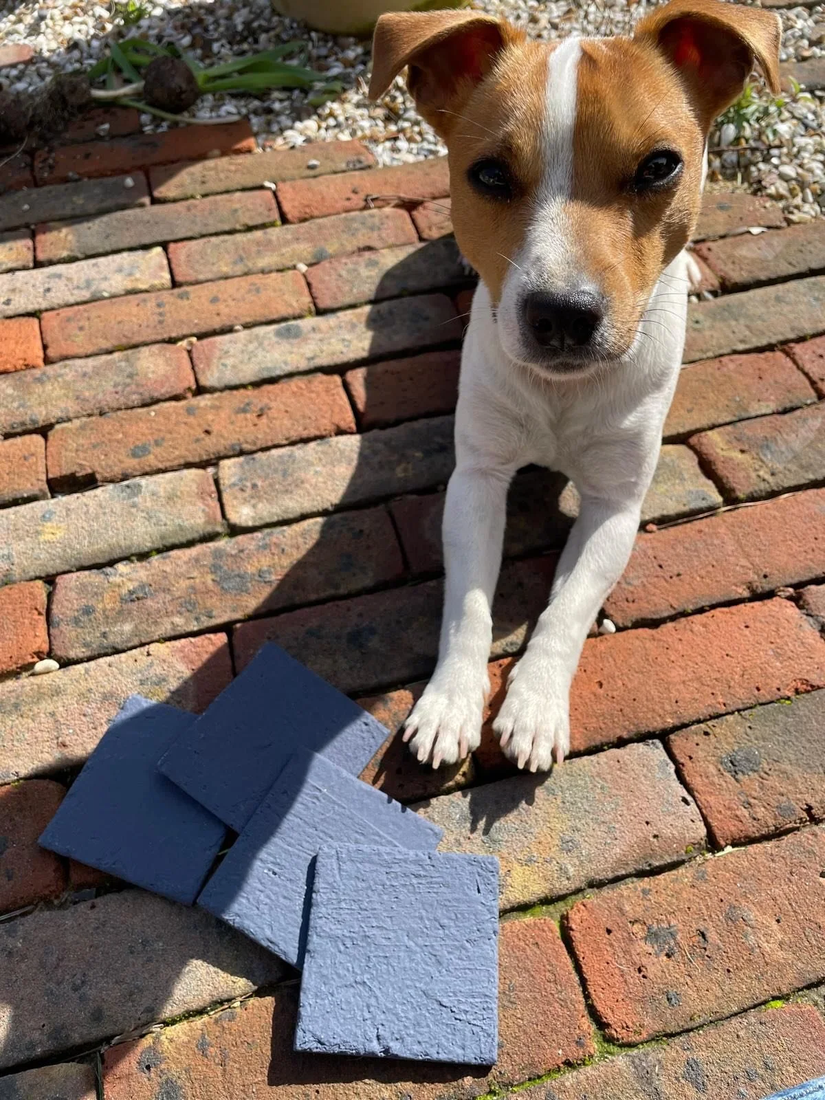 Our sample for our @torcpots water bowl we have designed into our Chelsea Flower Show installation arrived today! Many thanks Nicole! Such an elegant dusky blue. It&rsquo;s going to look stunning next to our galvanised planters from @aplaceinthegarde