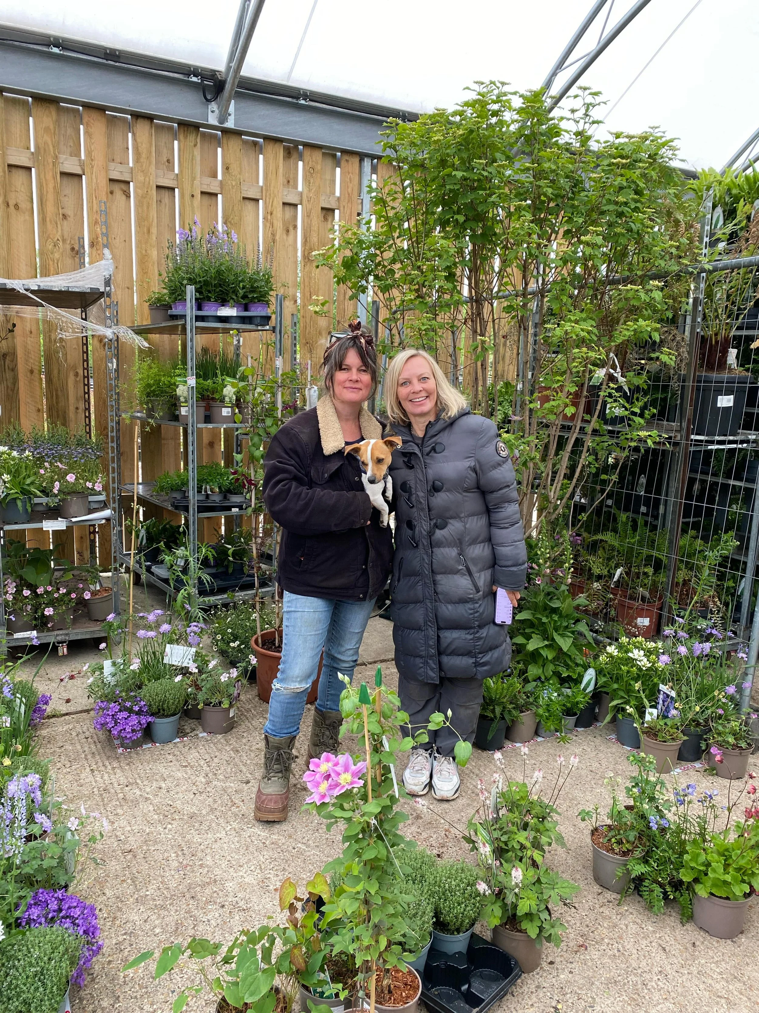 A quick run through with the plants for our Chelsea trade stand @the_sgld with Thea at @evergreen_exterior_services this morning and @eliza.gray.gardens on FaceTime! Thea is bloody amazing! We discarded and replaced, tweaked and tidied, pinched out a