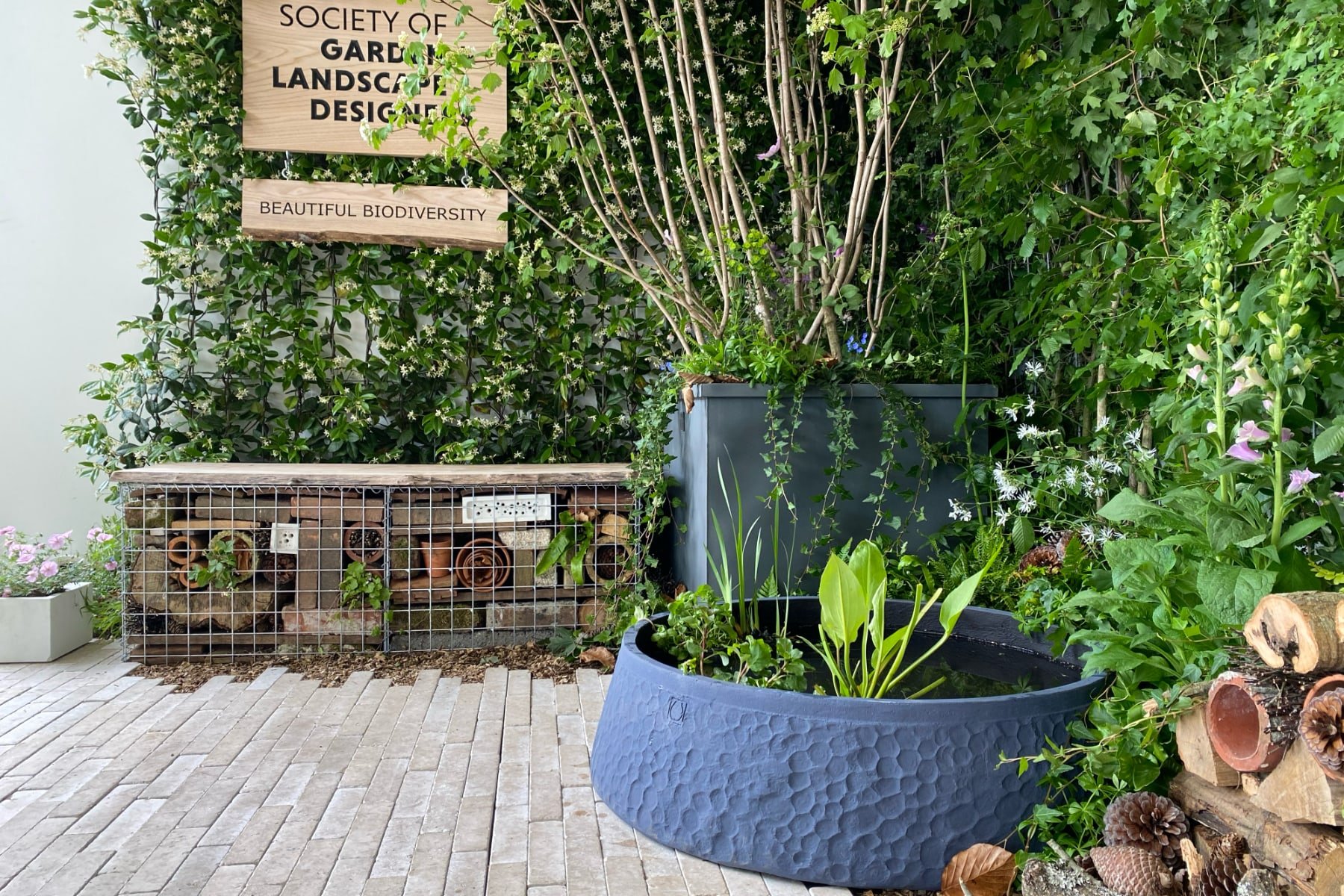 Gabion and water bowl.jpg