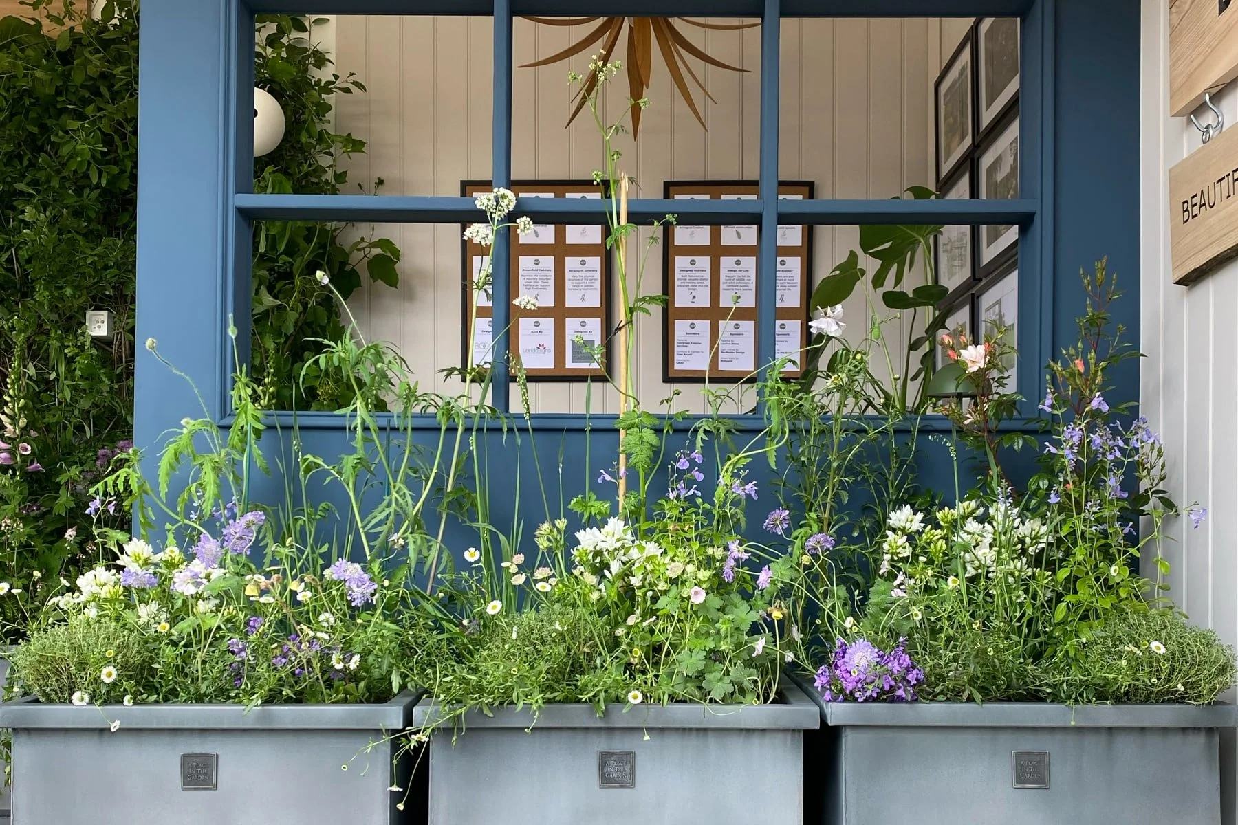 Garden Studio and Planters.jpg