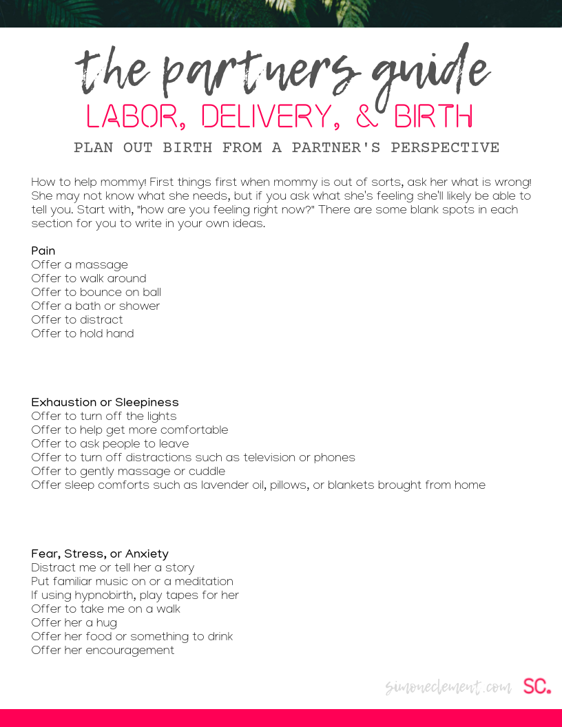 Partner's Labor & Delivery Plan.png