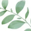 Online-Kurs Mindful Self Compassion (MSC) mit Christina Achner