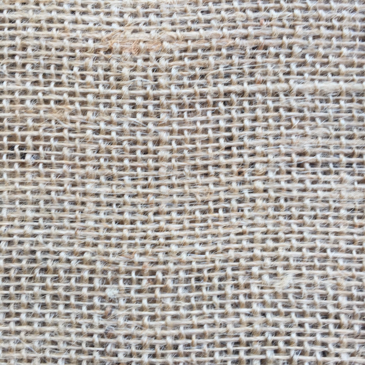 Burlap 2.jpg