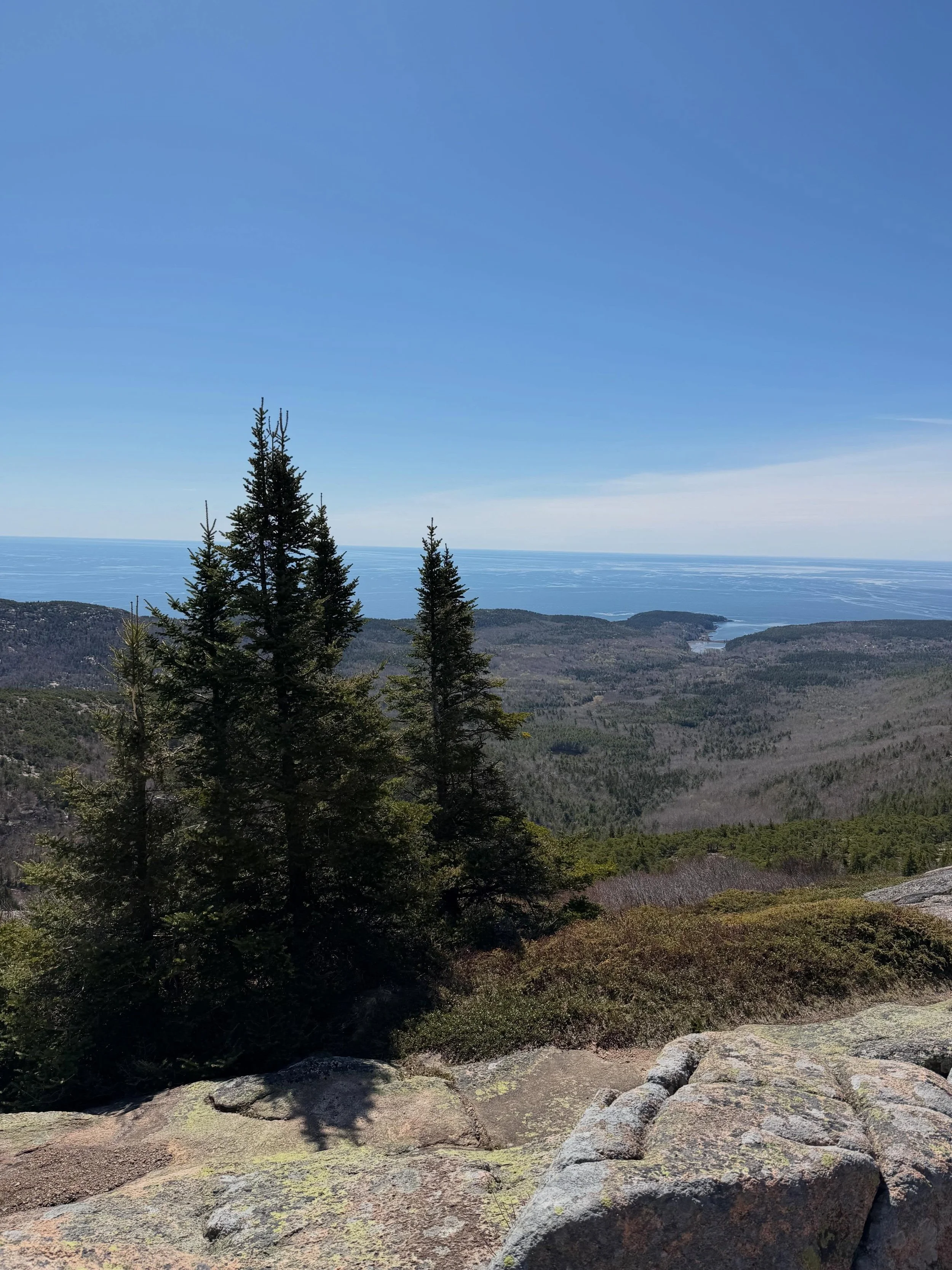 We recently gained lots of inspiration during a weekend up North. Acadia park did not disappoint. We saw a million antique hooked rugs too. Very glad for this little reset. #inspiration #nature #acadianationalpark #rughooking