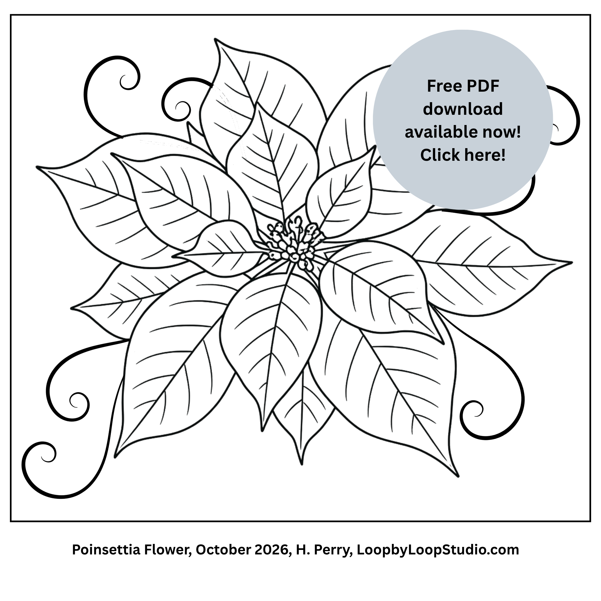 Copy of Poinsettia Pattern Oct 2026.png