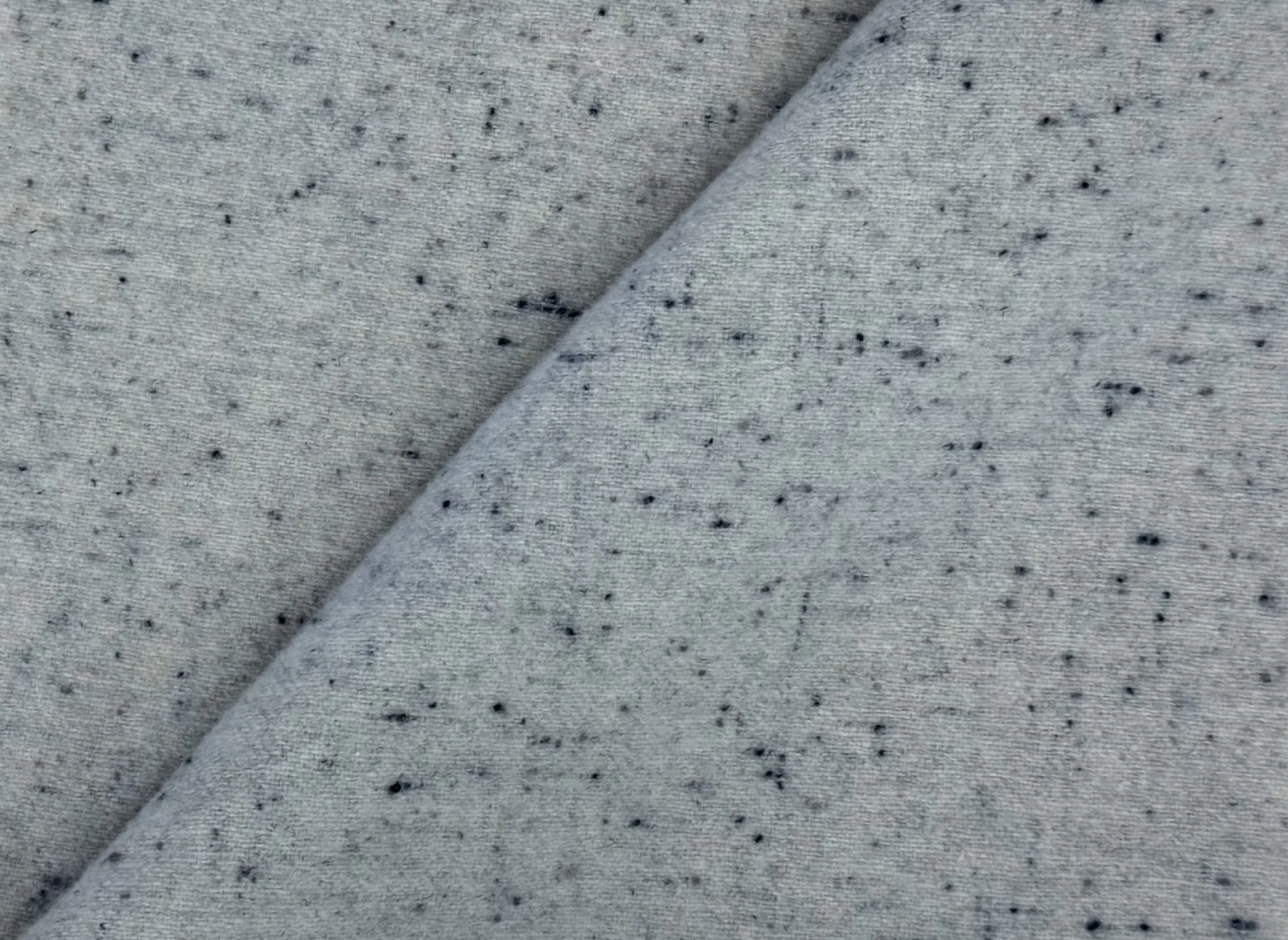 1 spotted grey 4.jpg