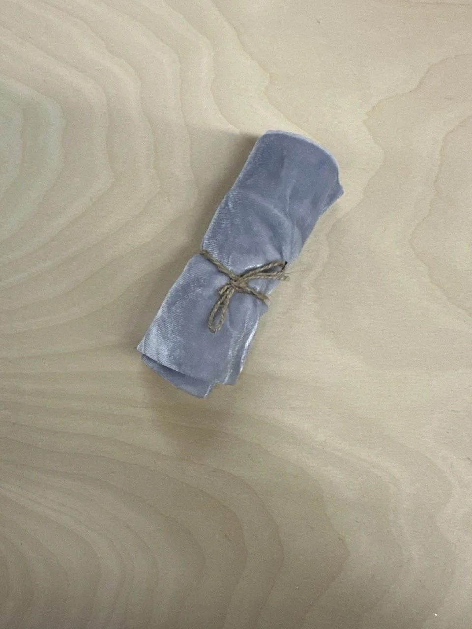 1 silver velvet 2.jpeg