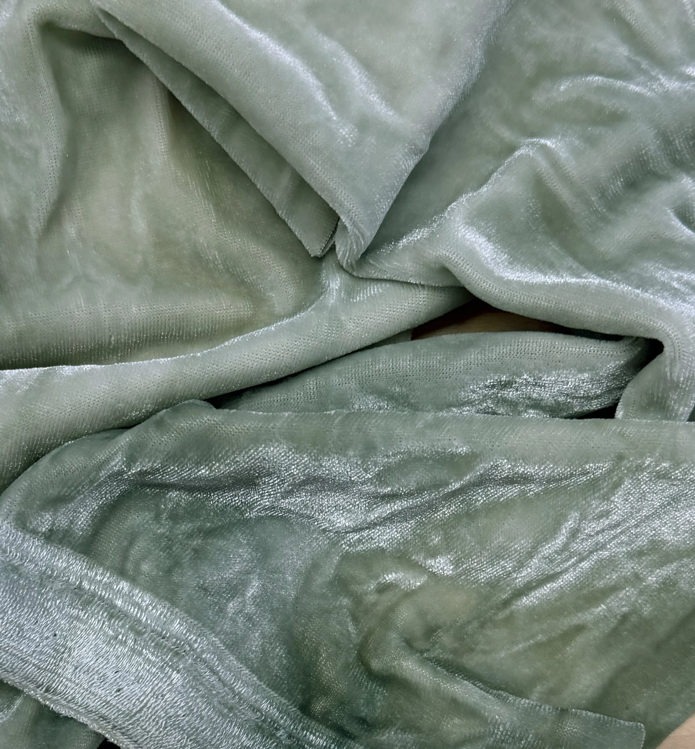 1 mottled sage 4.jpg