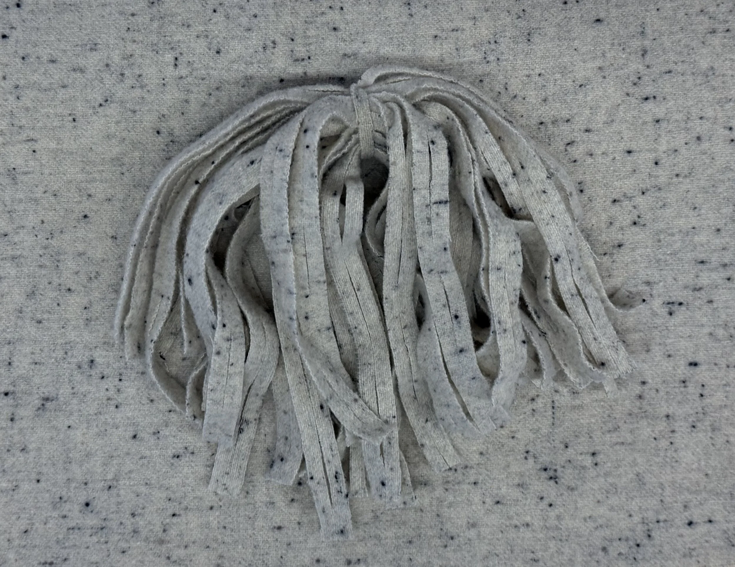 1 spotted grey 5.jpg