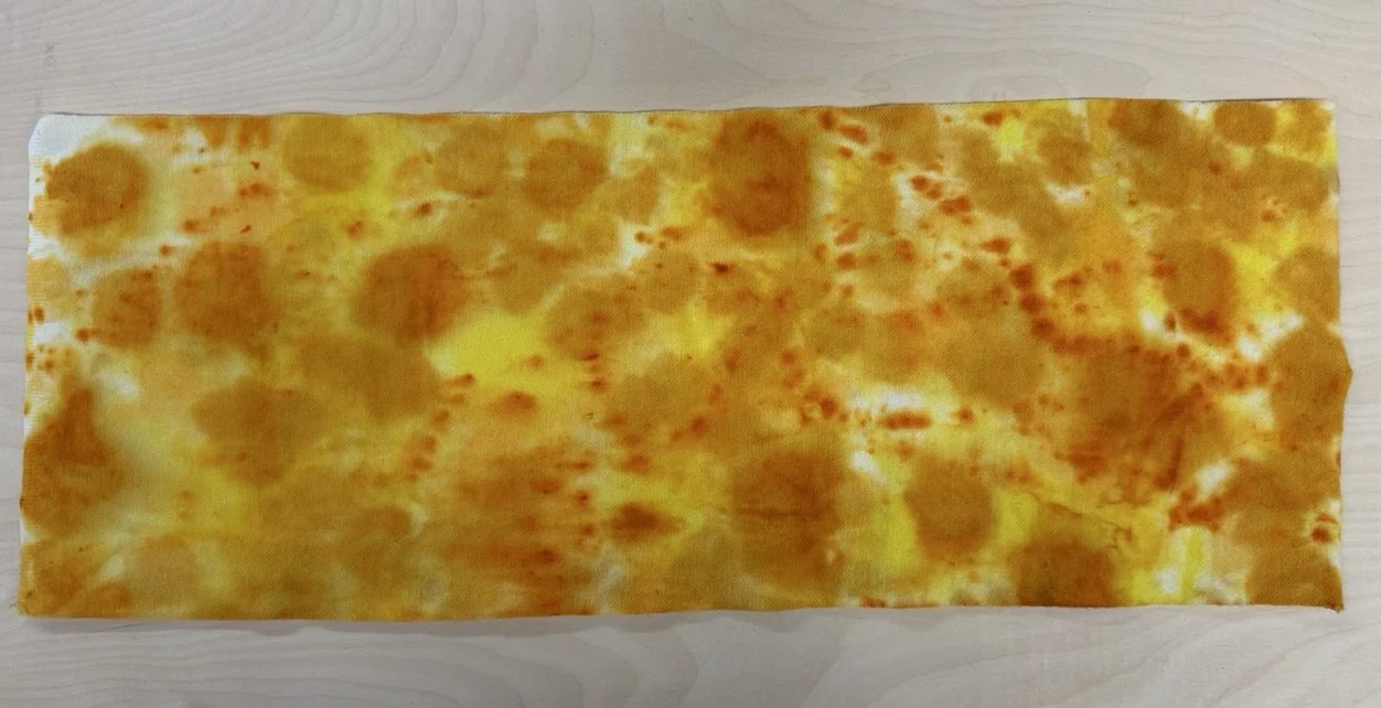 1 marigold 6.jpg