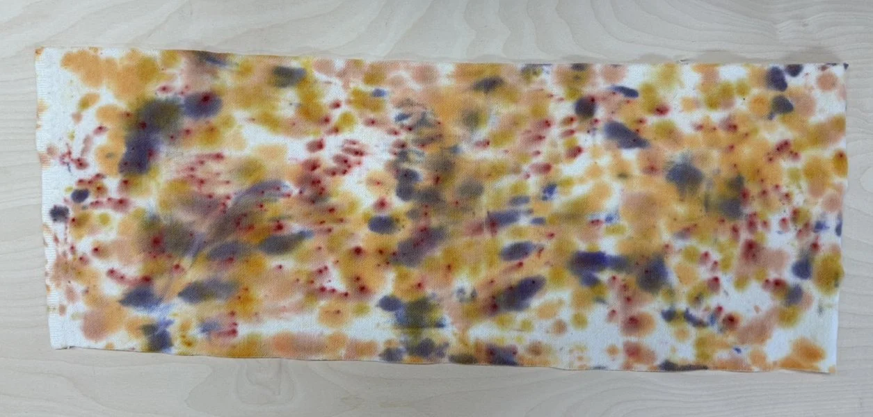 1 fields of gold 7.jpg