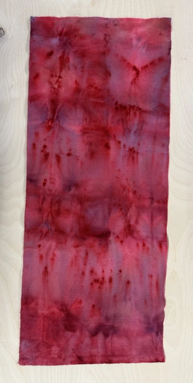 1 Red current 7.jpg