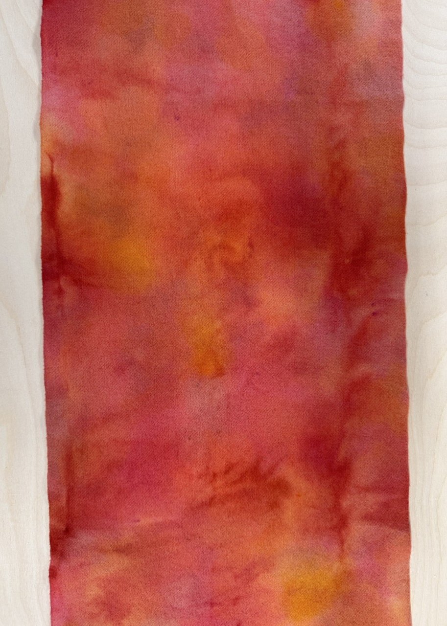 1 bright salmon 5.jpg