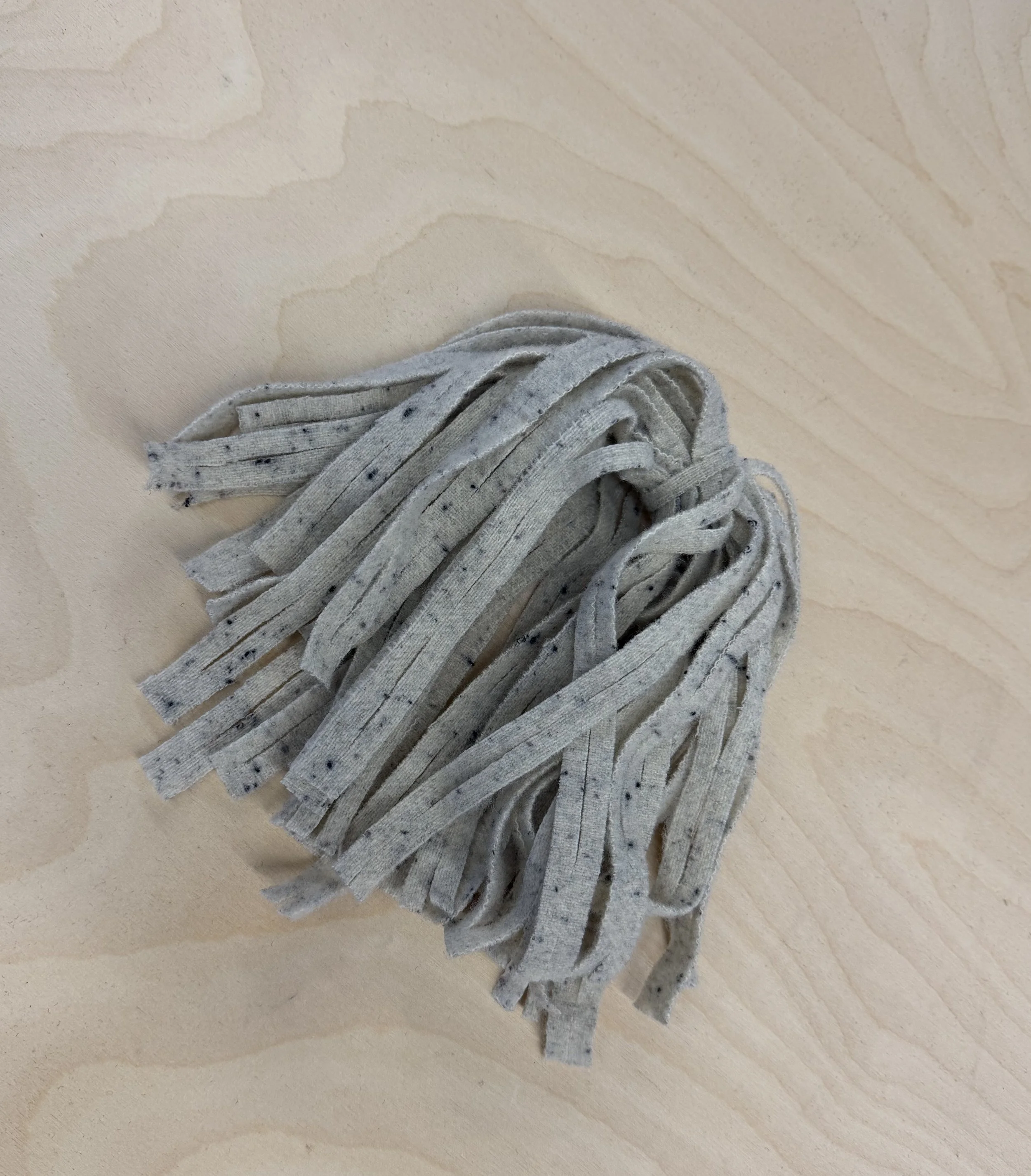 1 spotted grey 3.jpg