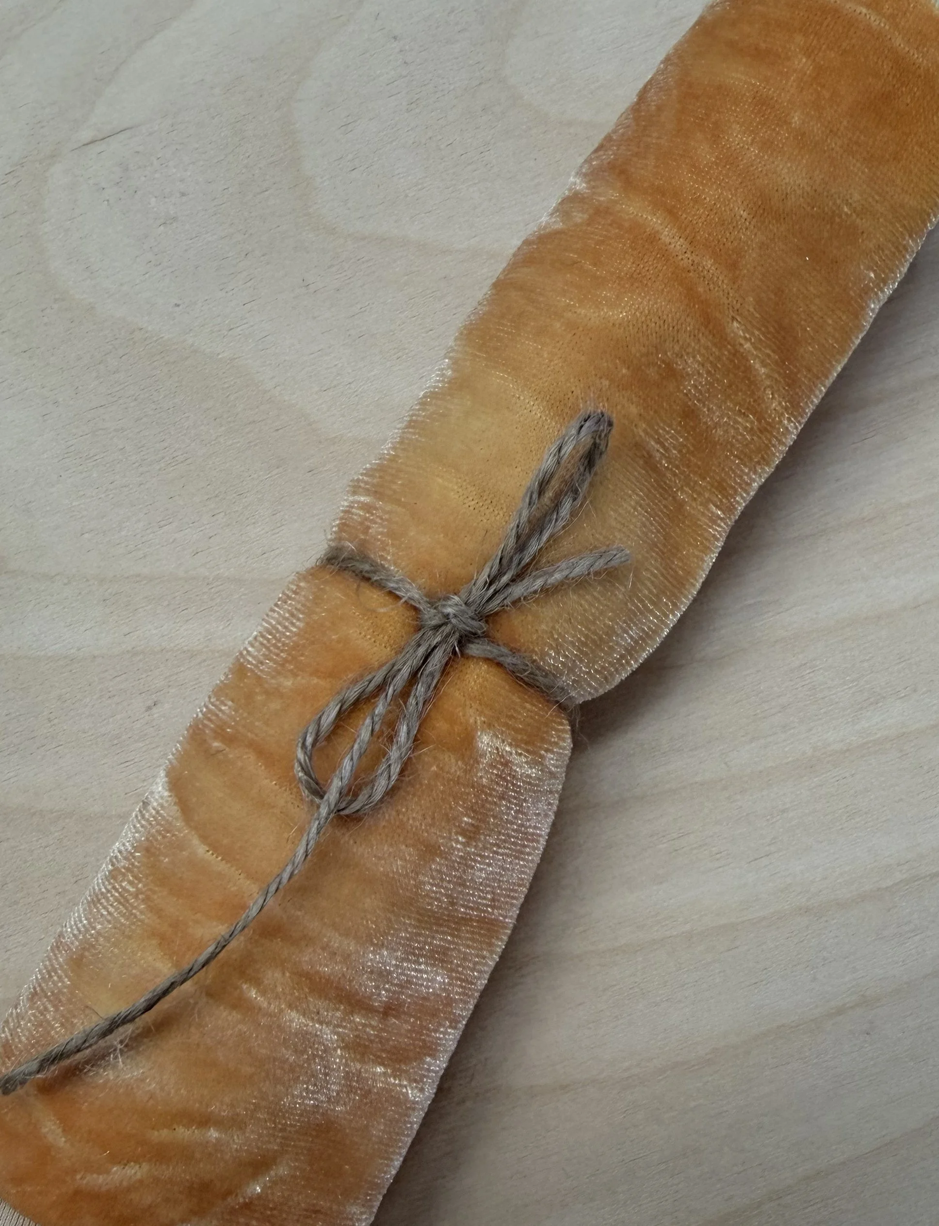 1 apricot 4.jpg
