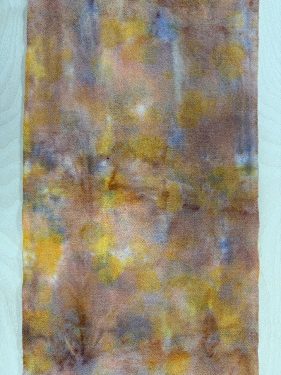 1 autumn trees 3.jpg