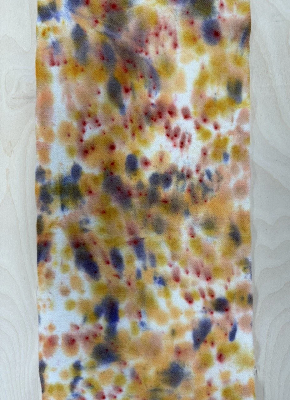 1 fields of gold 5.jpg