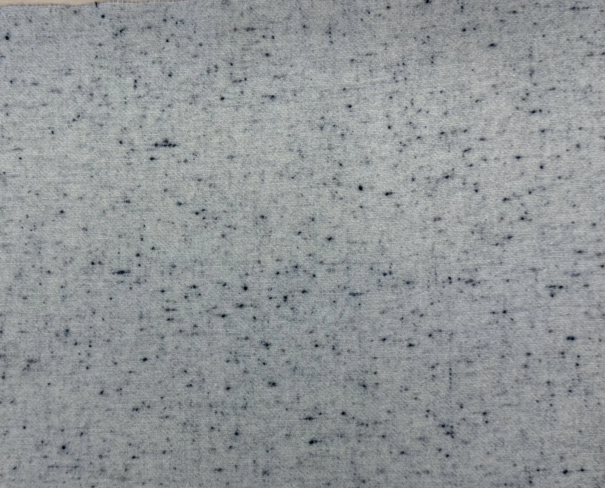 1 spotted grey 6.jpg
