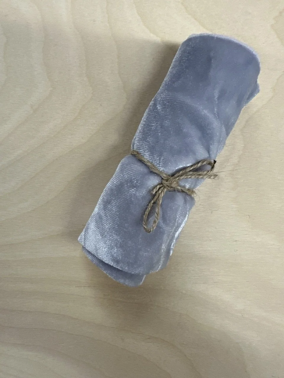 1 silver velvet 1.jpeg