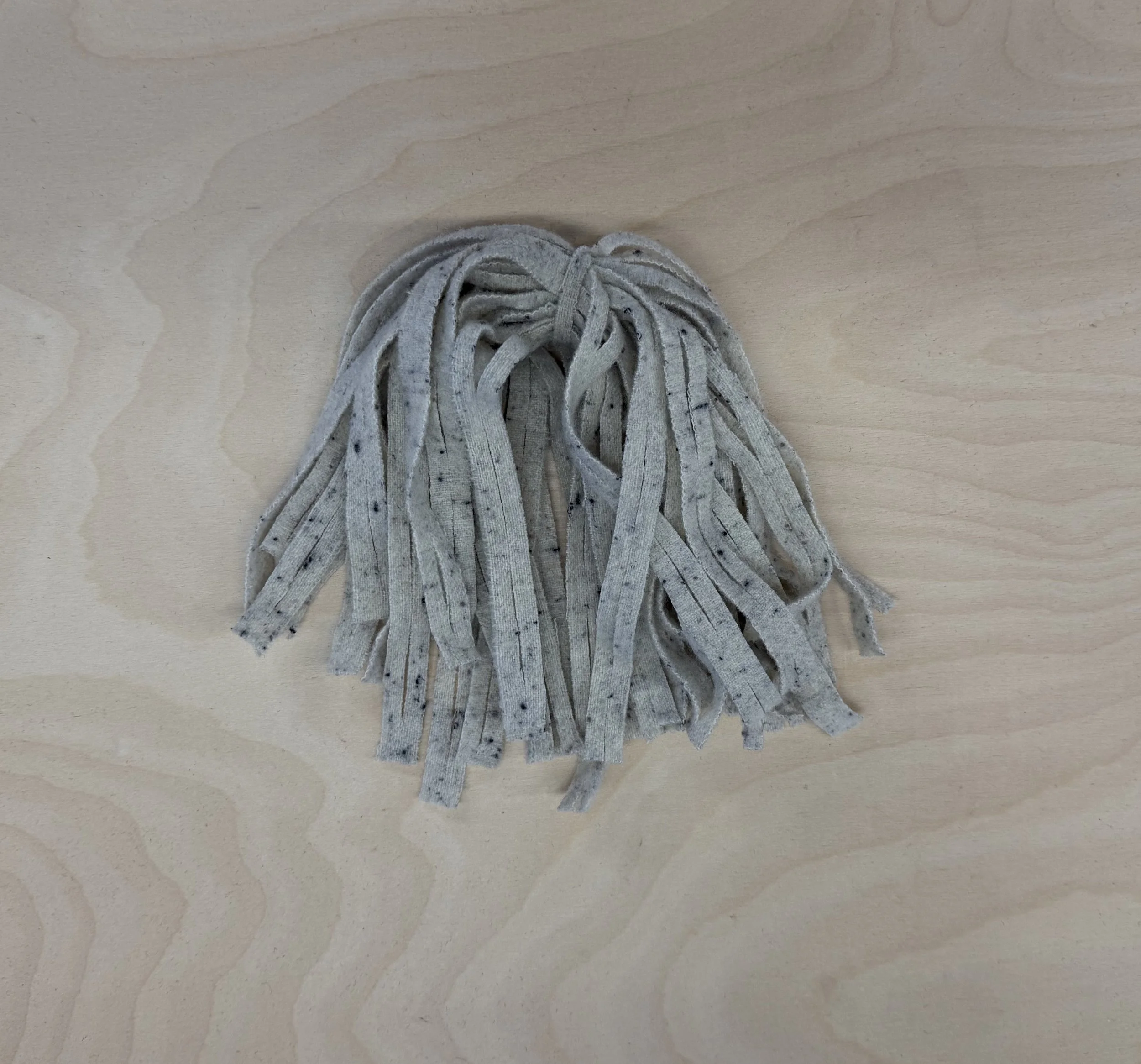 1 spotted grey 1.jpg
