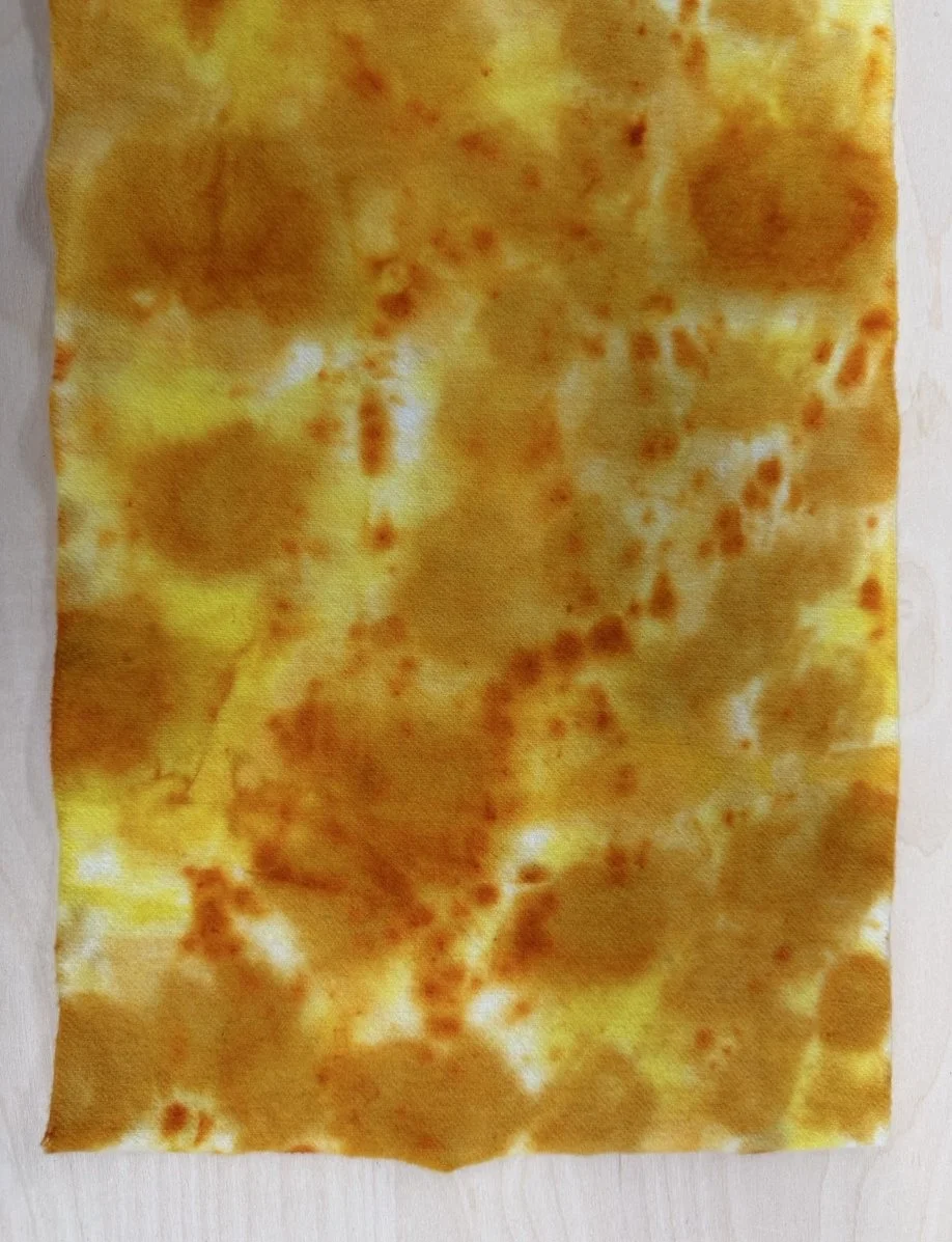 1 marigold 4.jpg