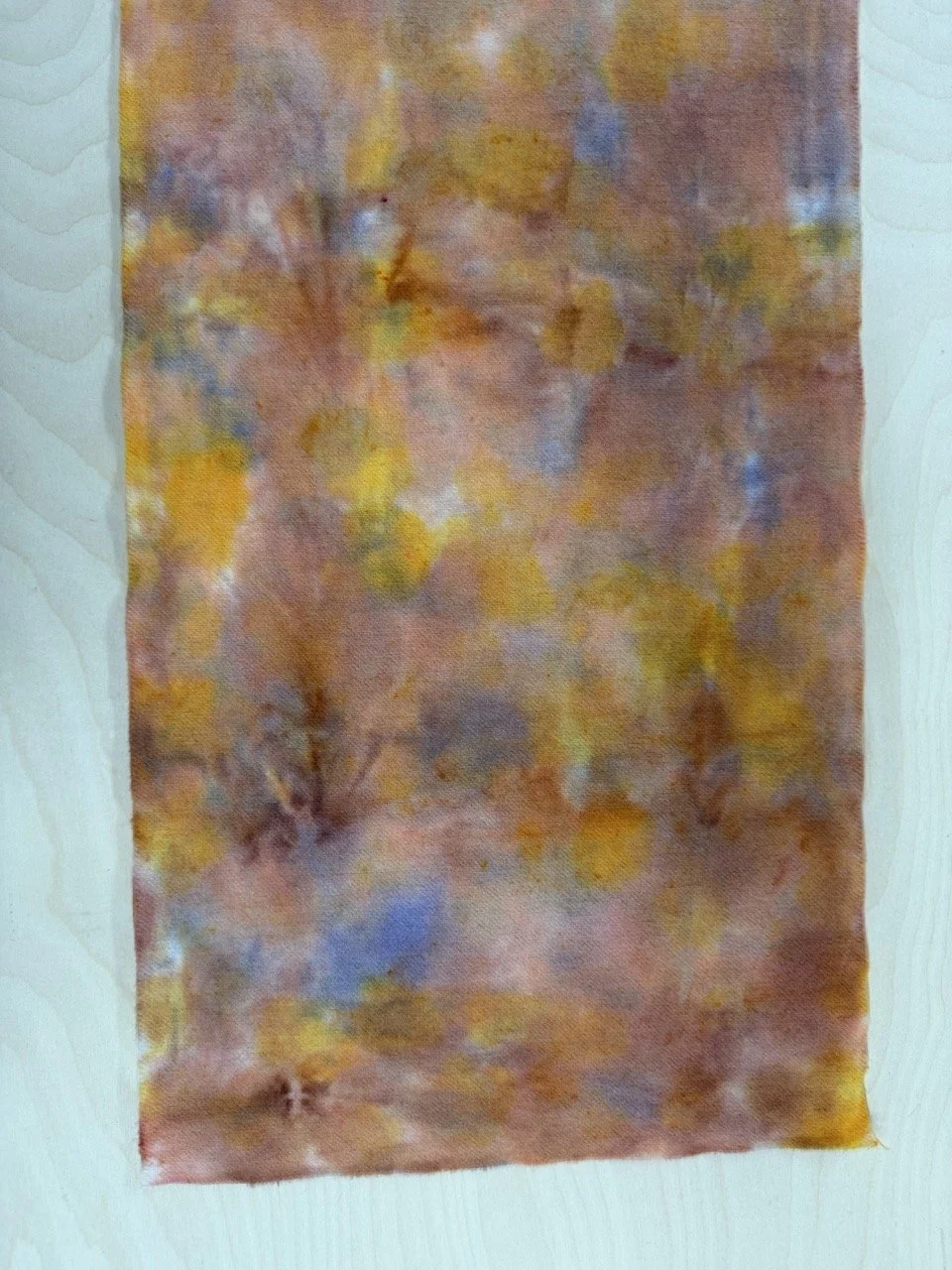 1 autumn trees 4.jpg