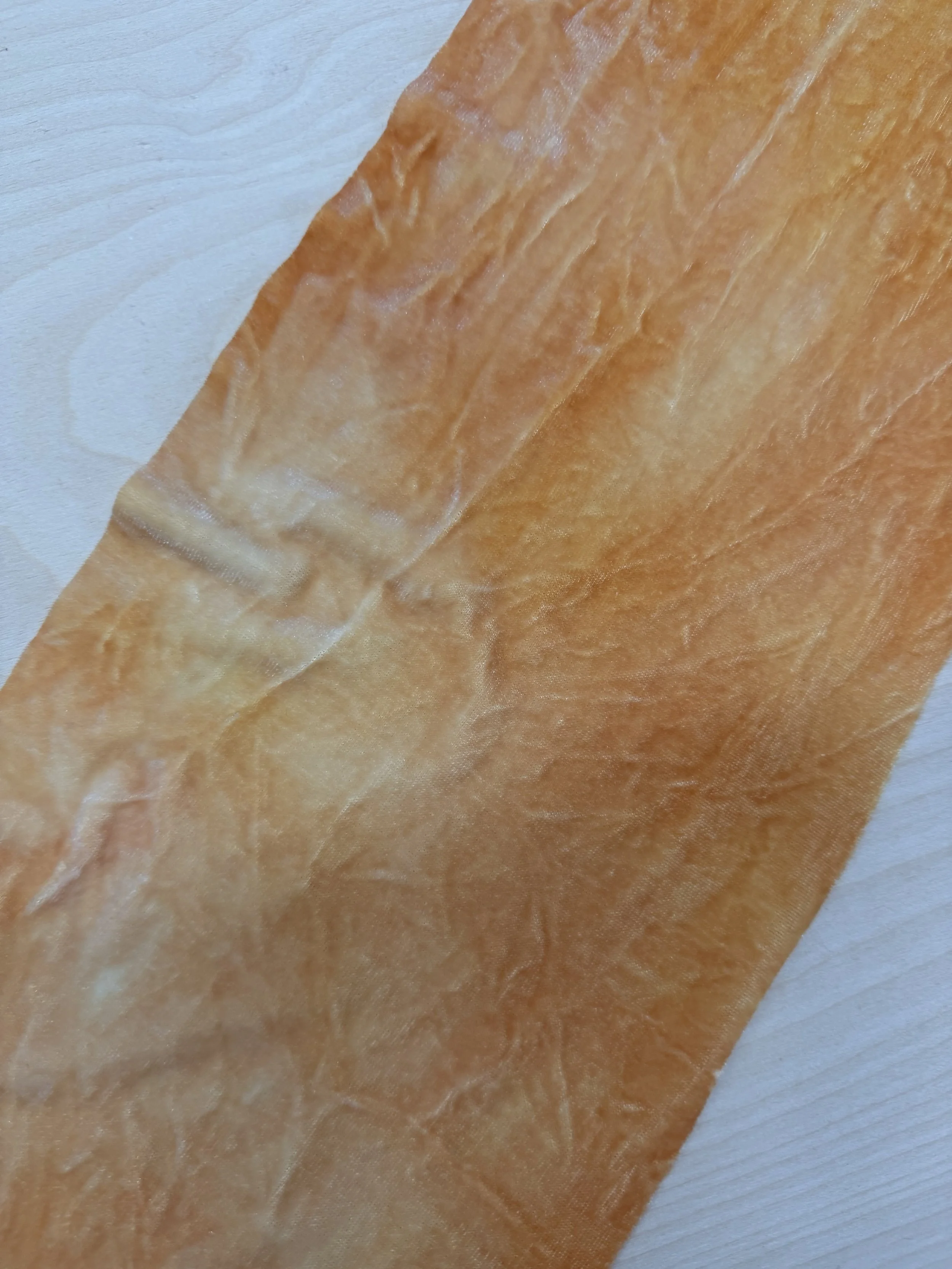 1 apricot 1.jpg