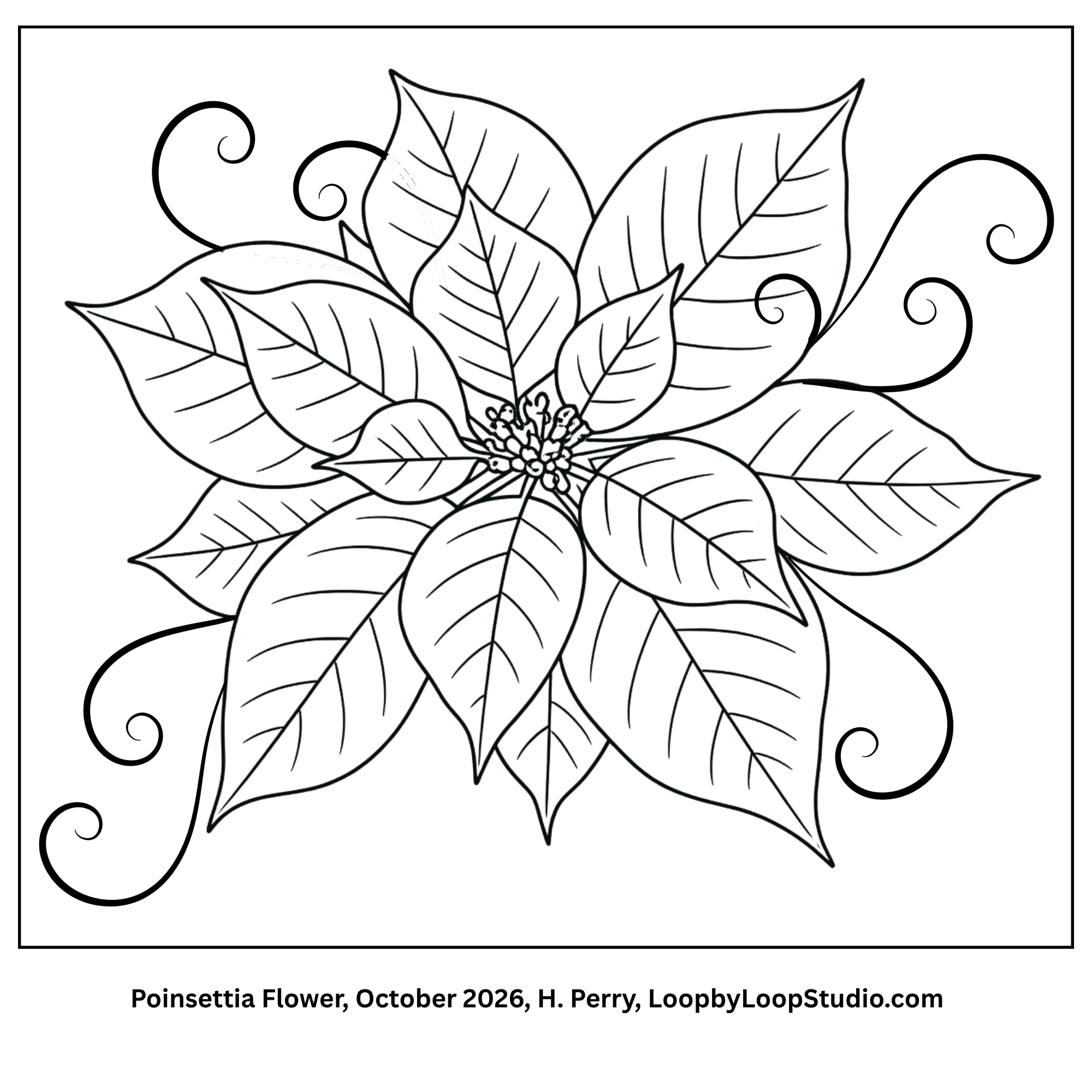 Poinsettia Pattern Oct 2026.png