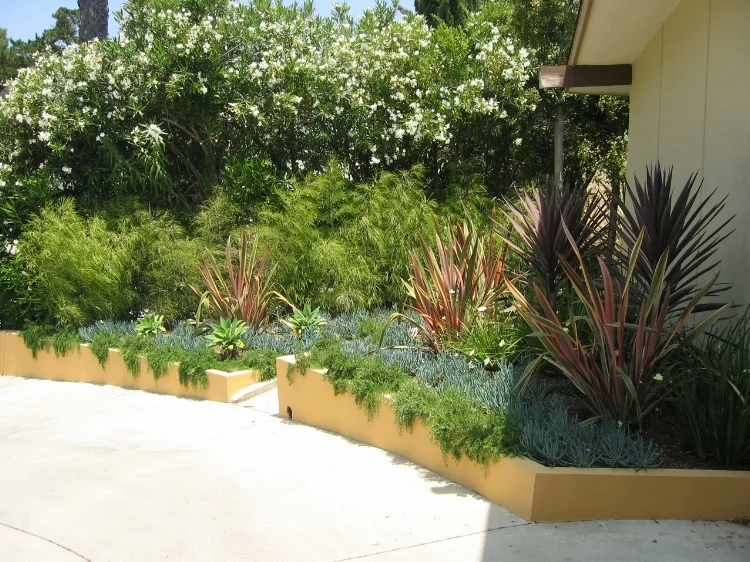 Henricks_111_1108.JPG