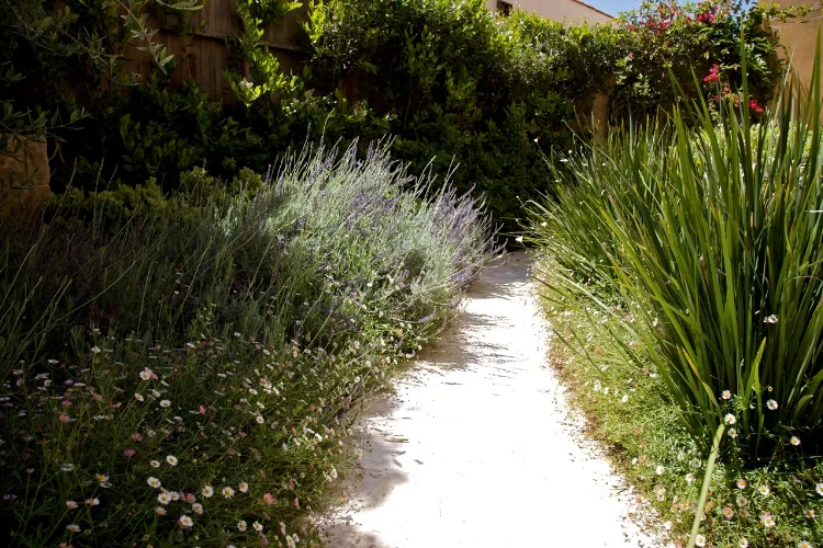 Shanley_IMG_0004 - Version 3.jpg